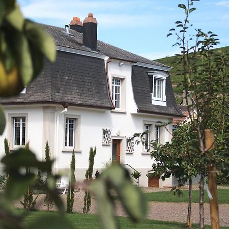Les Charmes De La Vallee Noble Soultzmatt Ngoại thất bức ảnh
